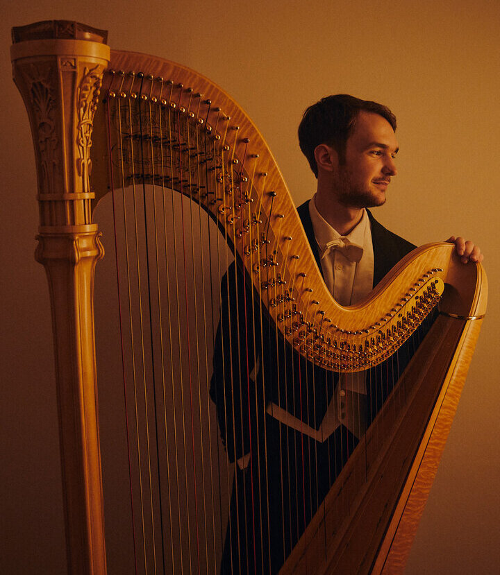 Harfenspieler Jernej Misic © Jernej Misic