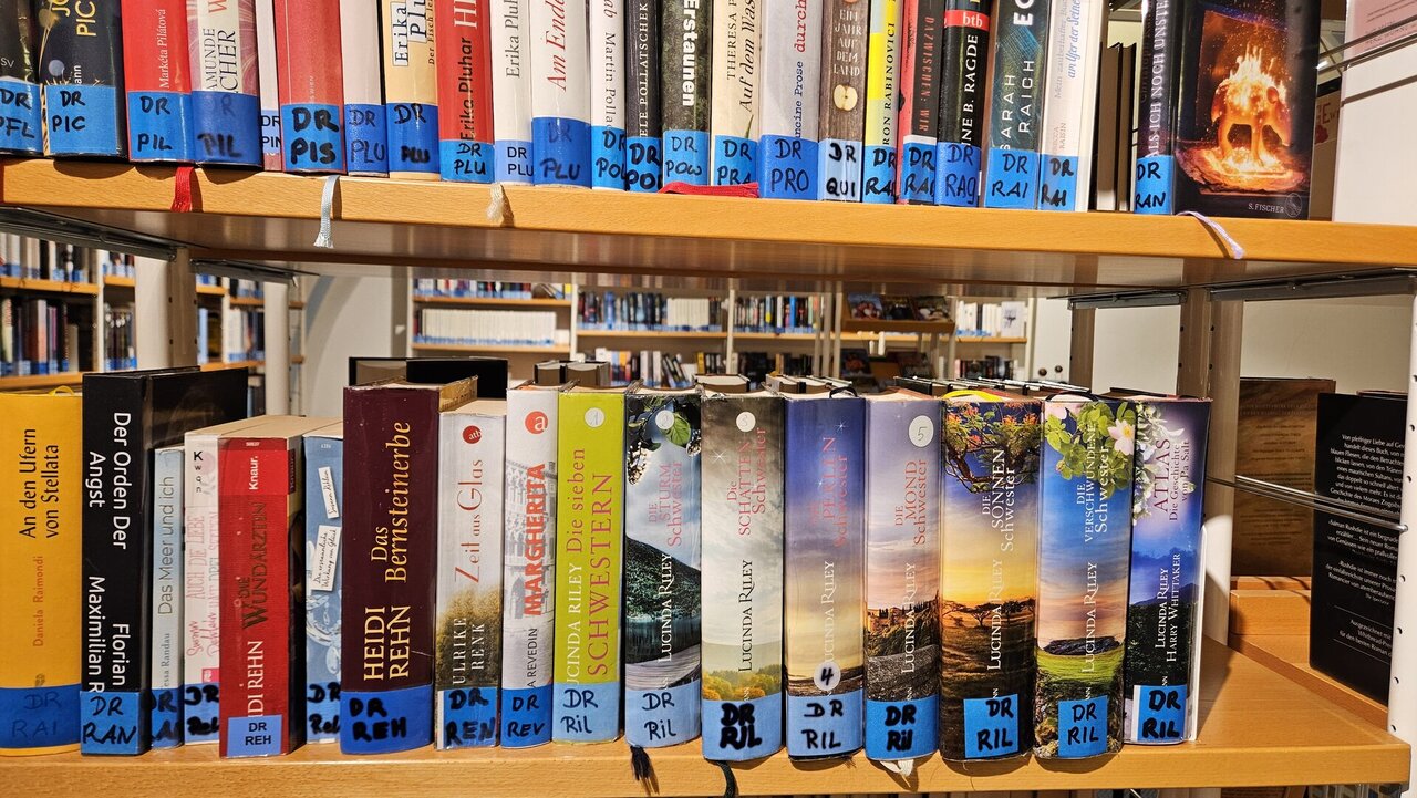 Bücher in einem Bücherregal aufgestellt